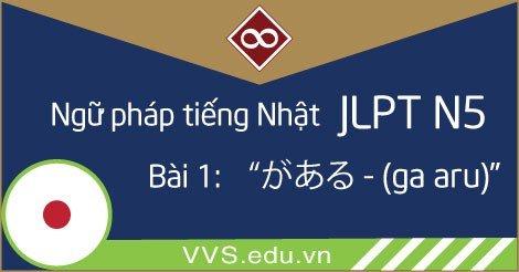 Ngữ pháp tiếng Nhật JLPT N5 - ga aru