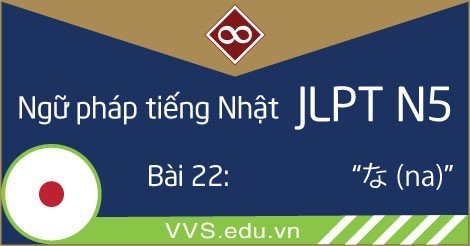 Ngữ pháp tiếng Nhật JLPT N5 - na