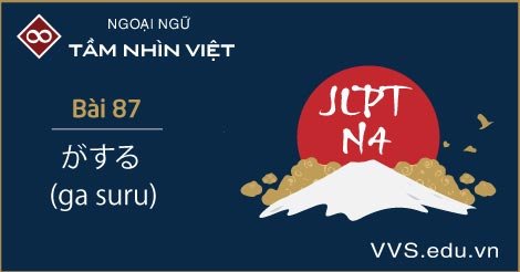 Bài 87 - ngữ pháp tiếng Nhật JLPT N4 - ga suru