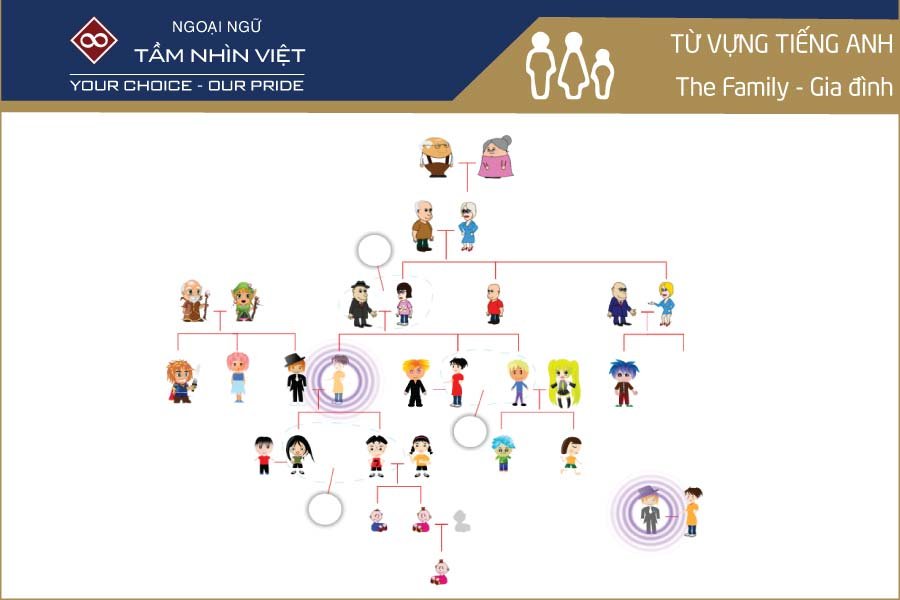Từ vựng tiếng Anh về gia đình - Tầm Nhìn Việt