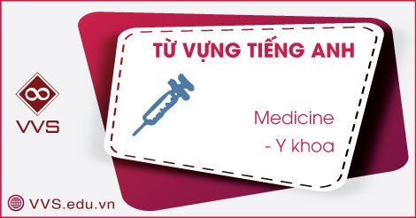 Từ vựng tiếng Anh về y khoa - VVS