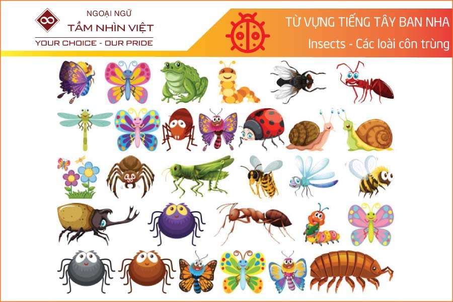 Tên các loài côn trùng trong tiếng Tây Ban Nha