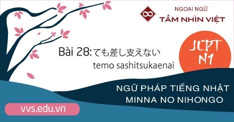 Bài-28-Ngữ-pháp-tiếng-Nhật-JLPT-N1-temo-sashitsukaenai